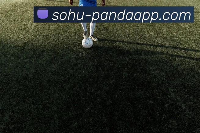 App 示例图